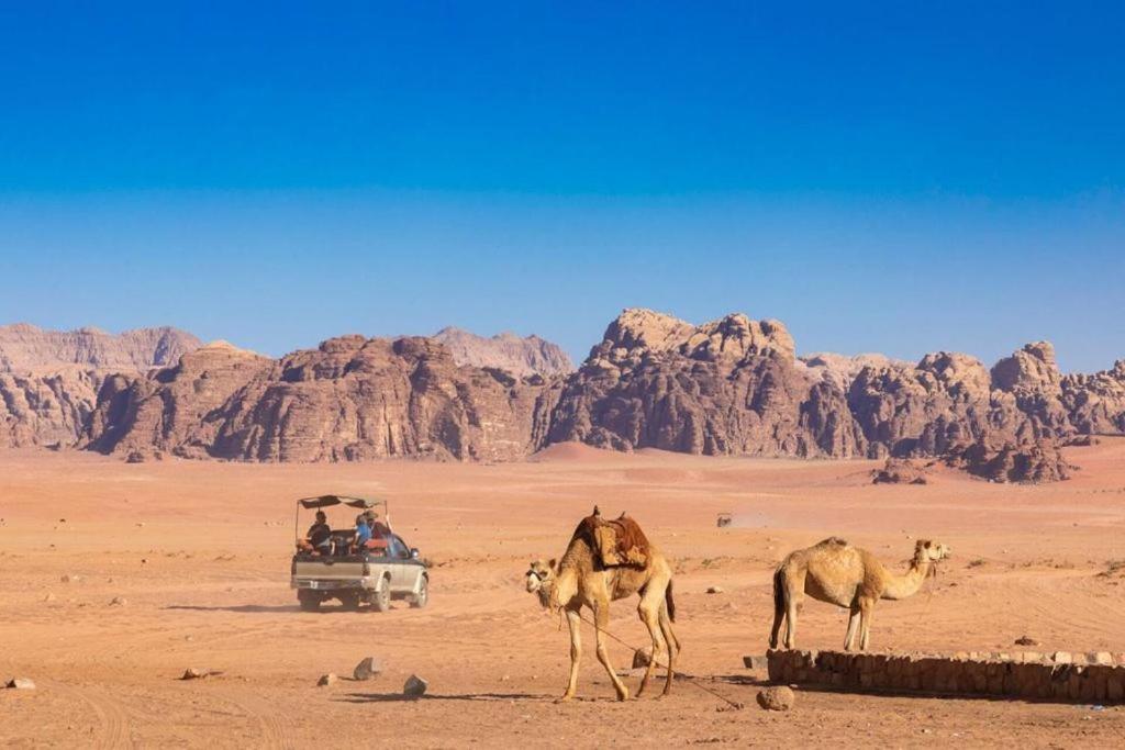מלון עקבה Bedouins Life Camp מראה חיצוני תמונה