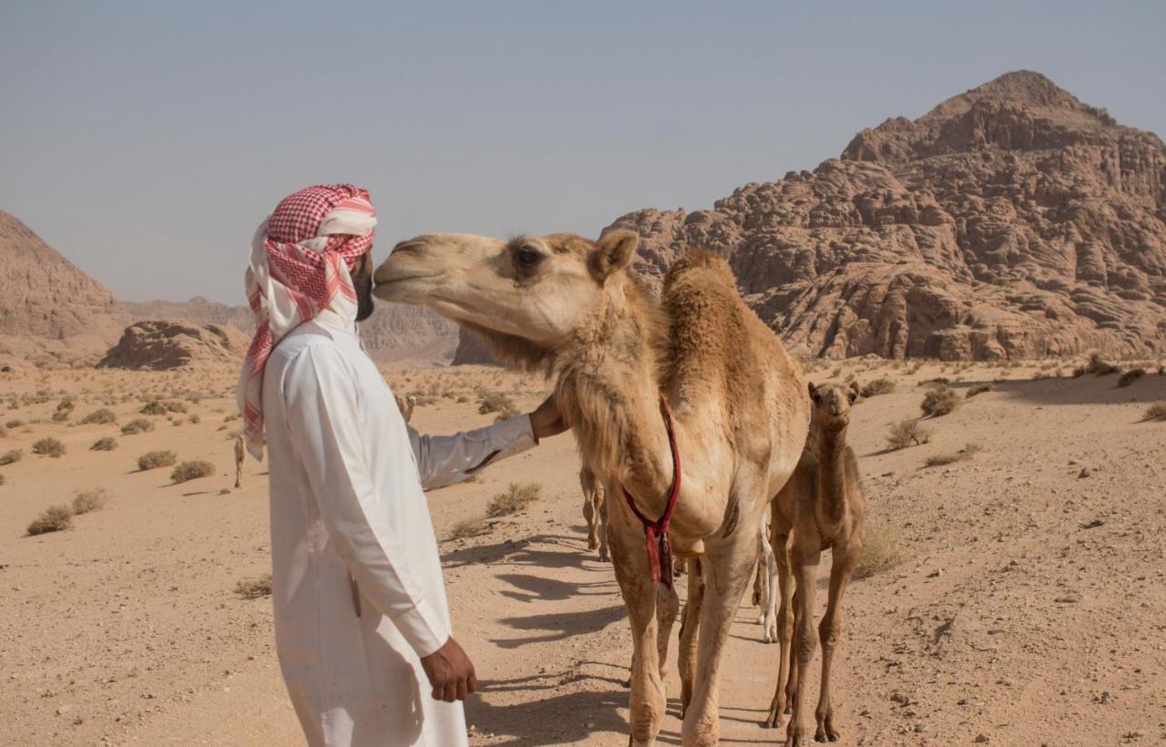 מלון עקבה Bedouins Life Camp מראה חיצוני תמונה